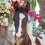 Broschürenkalender Horses – Christiane Slawik 2027, 30 x 30 cm