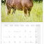 Broschürenkalender Horses – Christiane Slawik 2027, 30 x 30 cm