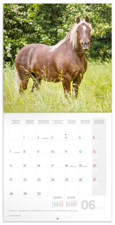 Broschürenkalender Horses – Christiane Slawik 2027, 30 x 30 cm