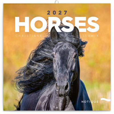 Broschürenkalender Horses – Christiane Slawik 2027, 30 x 30 cm