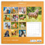 Broschürenkalender Horses – Christiane Slawik 2027, 30 x 30 cm