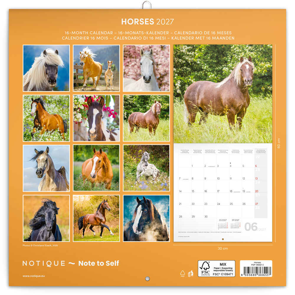 Broschürenkalender Horses – Christiane Slawik 2027, 30 x 30 cm