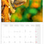 Broschürenkalender Lizards 2027, 30 x 30 cm