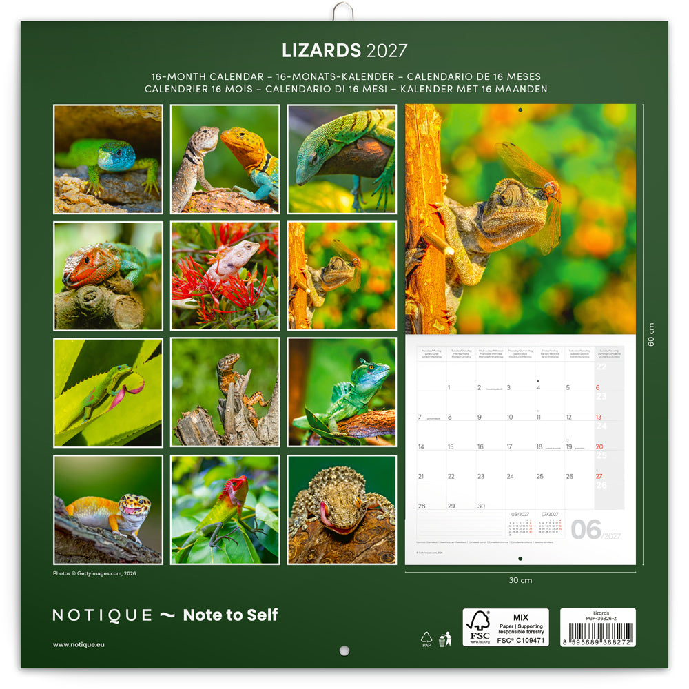 Broschürenkalender Lizards 2027, 30 x 30 cm