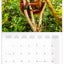 Broschürenkalender Bedrohte Arten 2027, PLASTIC FREE, 30 x 30 cm