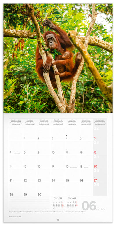 Broschürenkalender Bedrohte Arten 2027, PLASTIC FREE, 30 x 30 cm