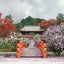 Broschürenkalender Gardens 2027, 30 x 30 cm