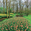Broschürenkalender Gardens 2027, 30 x 30 cm