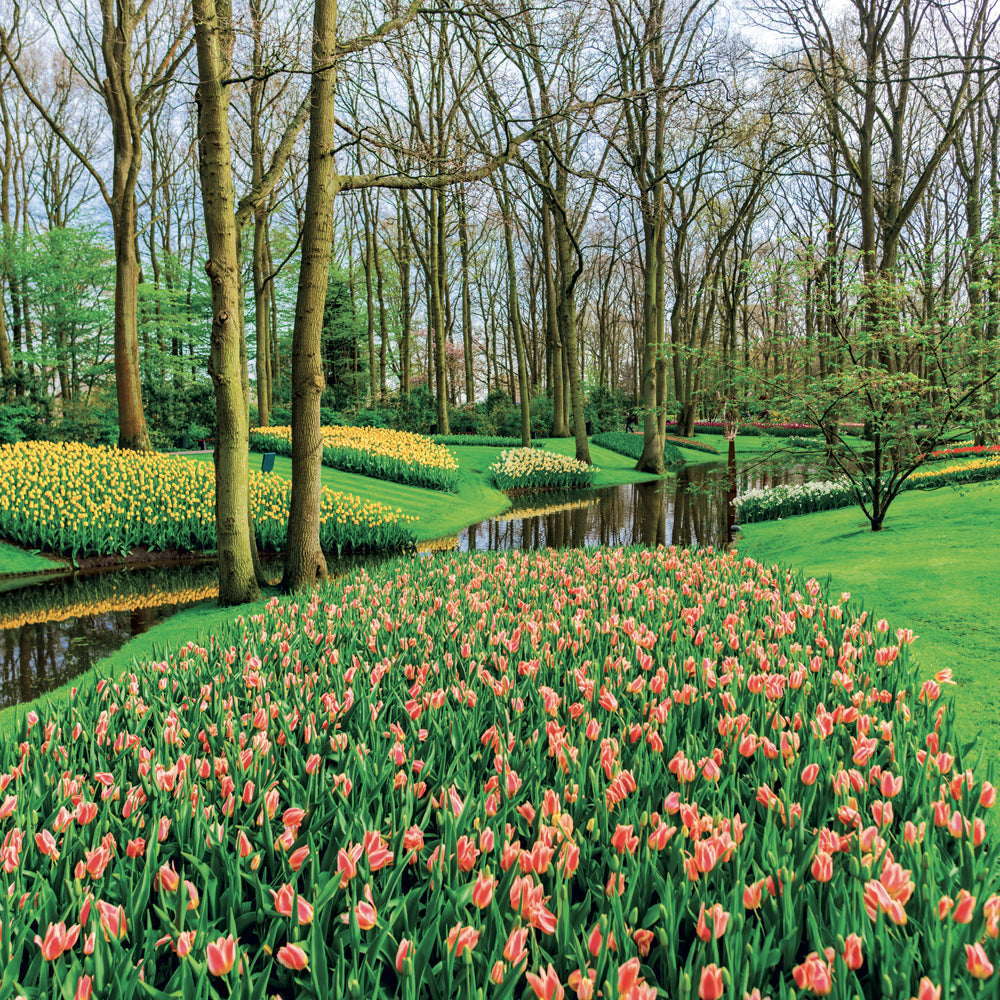 Broschürenkalender Gardens 2027, 30 x 30 cm