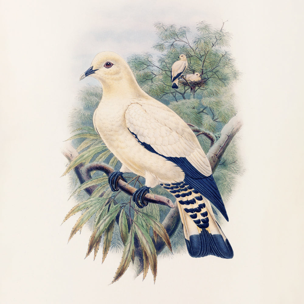 Broschürenkalender Vögel 2027, PLASTIC FREE, 30 x 30 cm