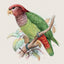Broschürenkalender Vögel 2027, PLASTIC FREE, 30 x 30 cm