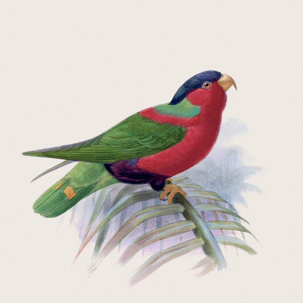 Broschürenkalender Vögel 2027, PLASTIC FREE, 30 x 30 cm