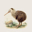 Broschürenkalender Vögel 2027, PLASTIC FREE, 30 x 30 cm