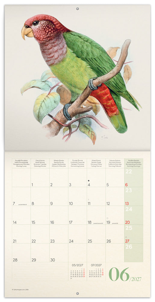 Broschürenkalender Vögel 2027, PLASTIC FREE, 30 x 30 cm