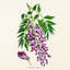 Broschürenkalender Herbarium 2027, PLASTIC FREE, 30 x 30 cm