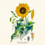 Broschürenkalender Herbarium 2027, PLASTIC FREE, 30 x 30 cm