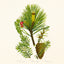 Broschürenkalender Herbarium 2027, PLASTIC FREE, 30 x 30 cm