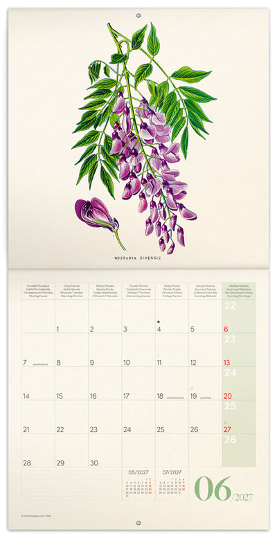Broschürenkalender Herbarium 2027, PLASTIC FREE, 30 x 30 cm