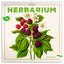 Broschürenkalender Herbarium 2027, PLASTIC FREE, 30 x 30 cm