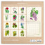 Broschürenkalender Herbarium 2027, PLASTIC FREE, 30 x 30 cm