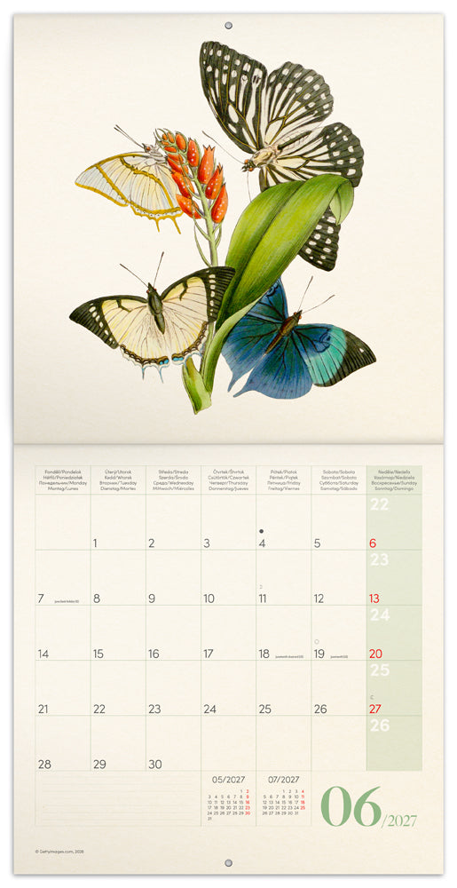 Broschürenkalender Schmetterlinge 2027, PLASTIC FREE, 30 x 30 cm
