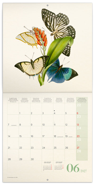 Broschürenkalender Schmetterlinge 2027, PLASTIC FREE, 30 x 30 cm