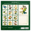Broschürenkalender Schmetterlinge 2027, PLASTIC FREE, 30 x 30 cm