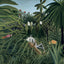 Broschürenkalender Henri Rousseau 2027, 30 x 30 cm