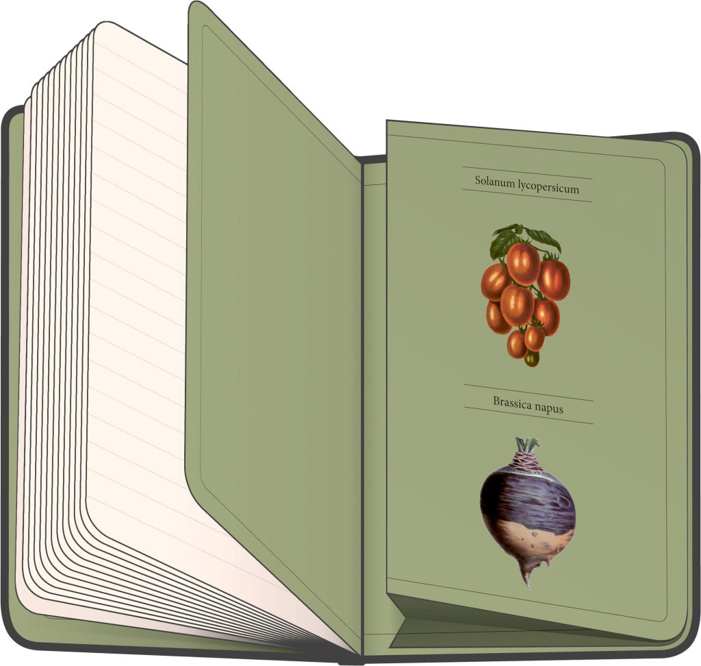 Notizbuch Gemüse von Kateřina Winterová, liniert, 13 × 21 cm